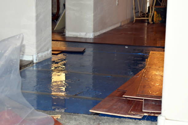 Professional Water Extraction technician working in East Lynne, MO